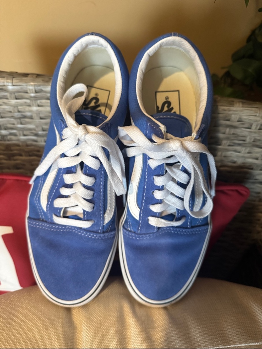 Vans Blue and White Low Top Skate Sneakers size 7.5